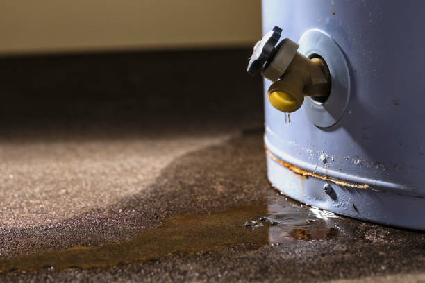 Carpet water damage restoration in Towanda, PA