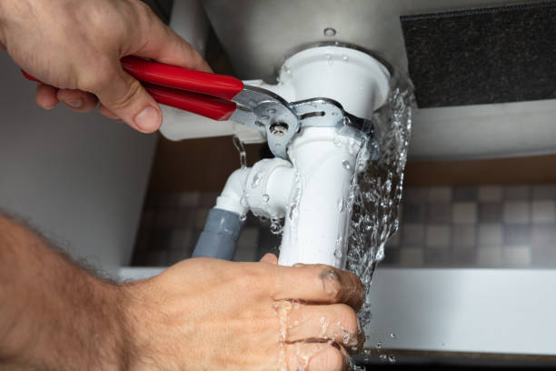 Best Water damage cleanup near me  in Towanda, PA