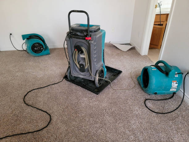 Best Water damage restoration near me  in Towanda, PA