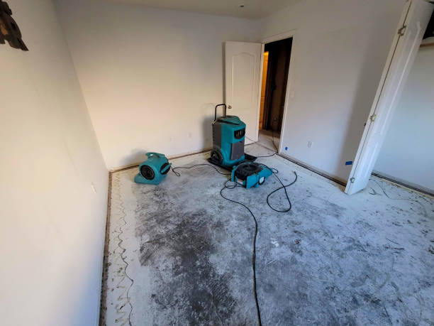 Best Fire Damage Restoration  in Towanda, PA