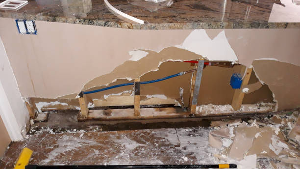 Best Professional water damage repair  in Towanda, PA