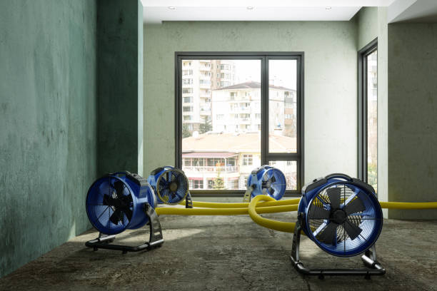 Best Commercial water damage restoration  in Towanda, PA